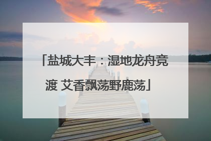 盐城大丰：湿地龙舟竞渡 艾香飘荡野鹿荡