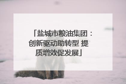 盐城市粮油集团：创新驱动助转型 提质增效促发展