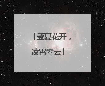 盛夏花开，凌霄攀云