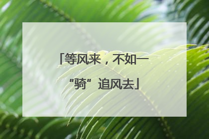 等风来，不如一“骑”追风去