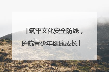 筑牢文化安全防线，护航青少年健康成长