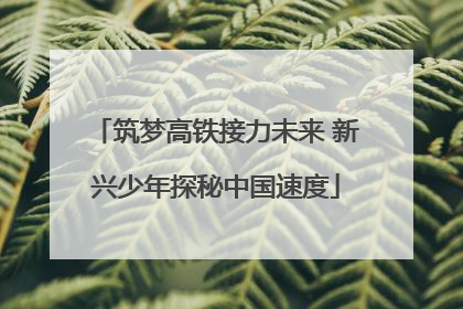 筑梦高铁接力未来 新兴少年探秘中国速度