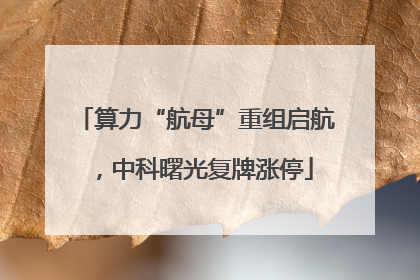 算力“航母”重组启航，中科曙光复牌涨停