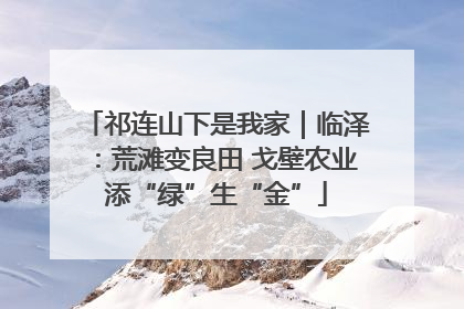 祁连山下是我家｜临泽：荒滩变良田 戈壁农业添“绿”生“金”