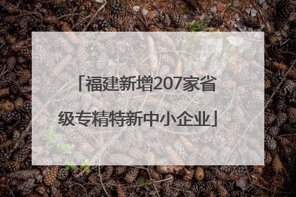 福建新增207家省级专精特新中小企业