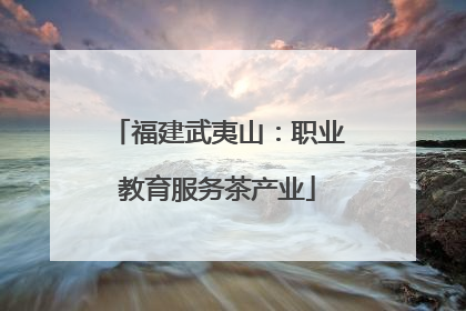 福建武夷山：职业教育服务茶产业