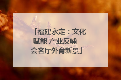 福建永定：文化赋能 产业反哺 会客厅外育新景