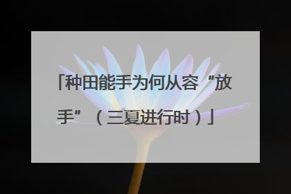 种田能手为何从容“放手”（三夏进行时）