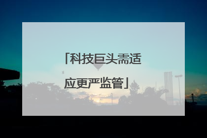 科技巨头需适应更严监管