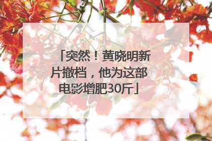 突然！黄晓明新片撤档，他为这部电影增肥30斤