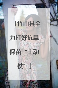 竹山县全力打好抗旱保苗“主动仗”