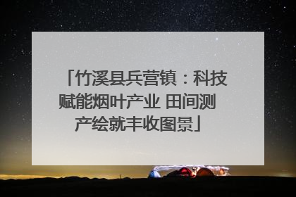 竹溪县兵营镇：科技赋能烟叶产业 田间测产绘就丰收图景