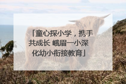 童心探小学，携手共成长 峨眉一小深化幼小衔接教育
