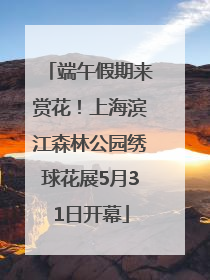 端午假期来赏花！上海滨江森林公园绣球花展5月31日开幕