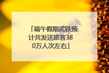 端午假期武铁预计共发送旅客380万人次左右