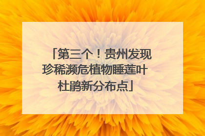 第三个！贵州发现珍稀濒危植物睡莲叶杜鹃新分布点
