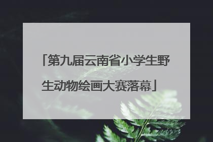 第九届云南省小学生野生动物绘画大赛落幕