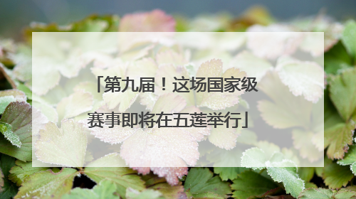 第九届！这场国家级赛事即将在五莲举行