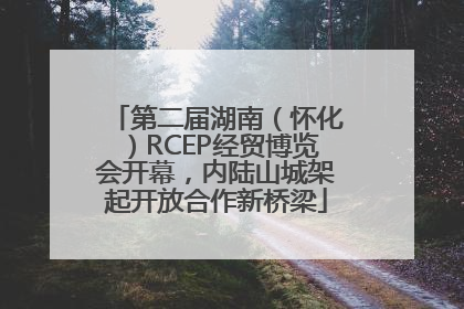 第二届湖南（怀化）RCEP经贸博览会开幕，内陆山城架起开放合作新桥梁
