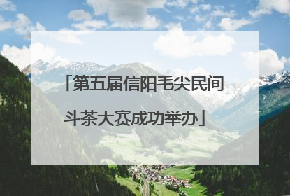第五届信阳毛尖民间斗茶大赛成功举办