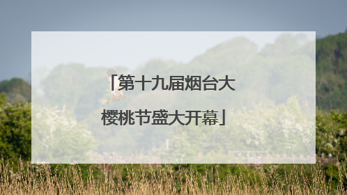 第十九届烟台大樱桃节盛大开幕