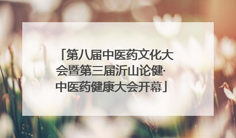第八届中医药文化大会暨第三届沂山论健·中医药健康大会开幕