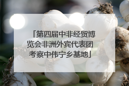 第四届中非经贸博览会非洲外宾代表团考察中伟宁乡基地