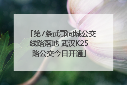 第7条武鄂同城公交线路落地 武汉K25路公交今日开通