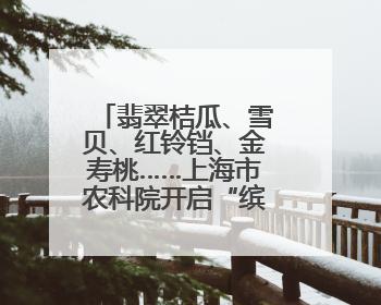 翡翠桔瓜、雪贝、红铃铛、金寿桃……上海市农科院开启“缤纷蔬菜之约”