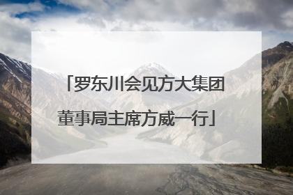 罗东川会见方大集团董事局主席方威一行