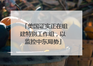 美国证实正在组建特别工作组，以监控中东局势
