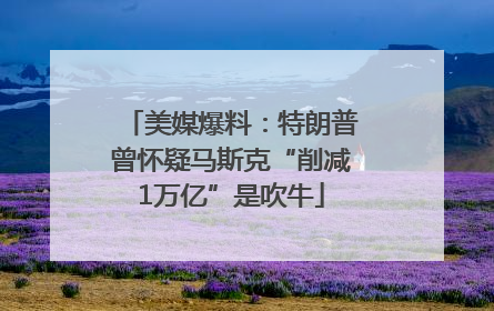 美媒爆料：特朗普曾怀疑马斯克“削减1万亿”是吹牛