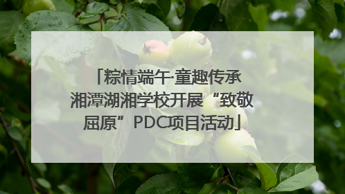 粽情端午·童趣传承 湘潭湖湘学校开展“致敬屈原”PDC项目活动