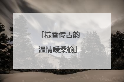 粽香传古韵 温情暖桑榆