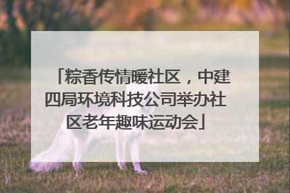 粽香传情暖社区，中建四局环境科技公司举办社区老年趣味运动会
