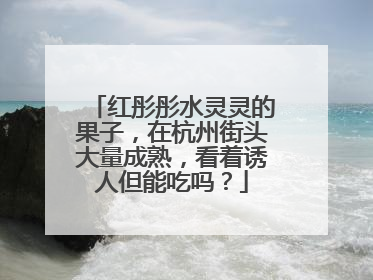 红彤彤水灵灵的果子，在杭州街头大量成熟，看着诱人但能吃吗？