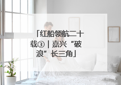 红船领航二十载③｜嘉兴“破浪”长三角