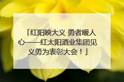 红阳映大义 勇者暖人心——红太阳酒业集团见义勇为表彰大会！