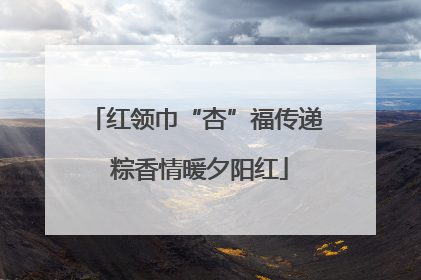 红领巾“杏”福传递 粽香情暖夕阳红