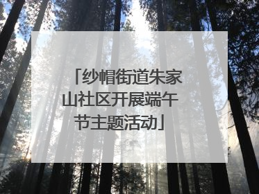 纱帽街道朱家山社区开展端午节主题活动