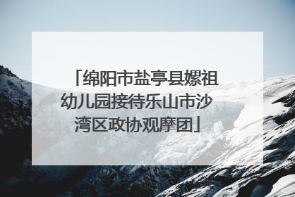 绵阳市盐亭县嫘祖幼儿园接待乐山市沙湾区政协观摩团