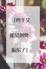 终于又能见到樊振东了