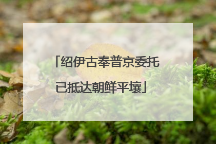绍伊古奉普京委托已抵达朝鲜平壤
