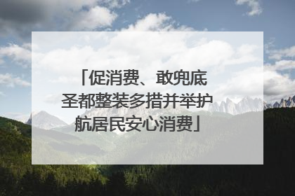 促消费、敢兜底 圣都整装多措并举护航居民安心消费