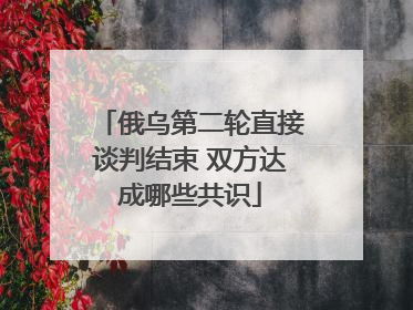 俄乌第二轮直接谈判结束 双方达成哪些共识
