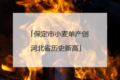 保定市小麦单产创河北省历史新高