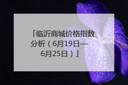 临沂商城价格指数分析（6月19日—6月25日）