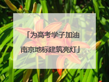 为高考学子加油 南京地标建筑亮灯