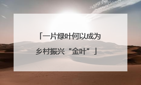 一片绿叶何以成为乡村振兴“金叶”