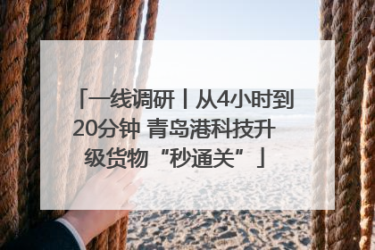 一线调研丨从4小时到20分钟 青岛港科技升级货物“秒通关”